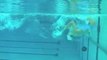 atayuzme.com.tr | Serbest Yüzme Tekniği, Yüzme  Videoları