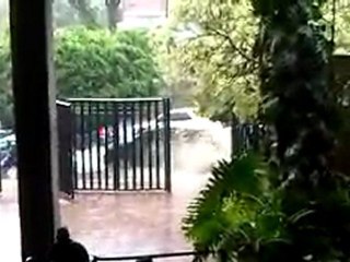 VID 00000-20100414-1259.3GP