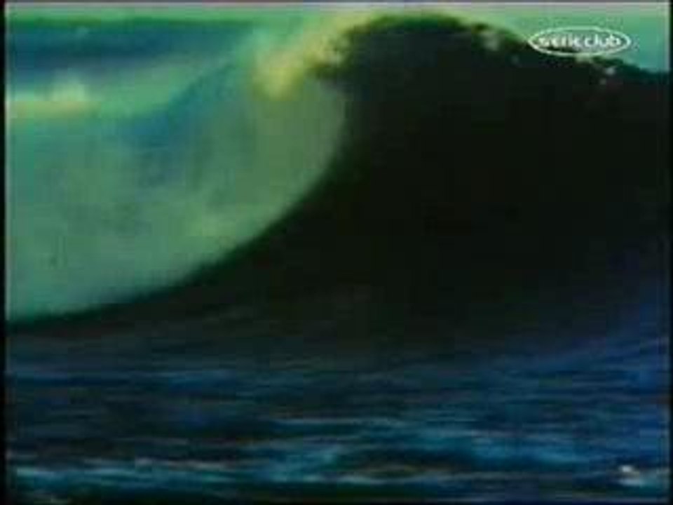 Hawai Police d'etat Generique