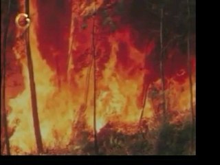 "Se Habla Verde", con Karen Bitton, trae información sobre e