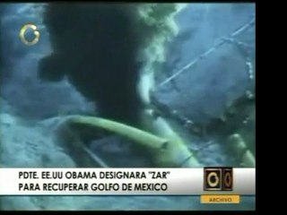 Gobierno estadounidense asignará un zar para controlar la si