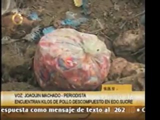 Fue encontrado lote de pollos en vertedero de basura en Cuma