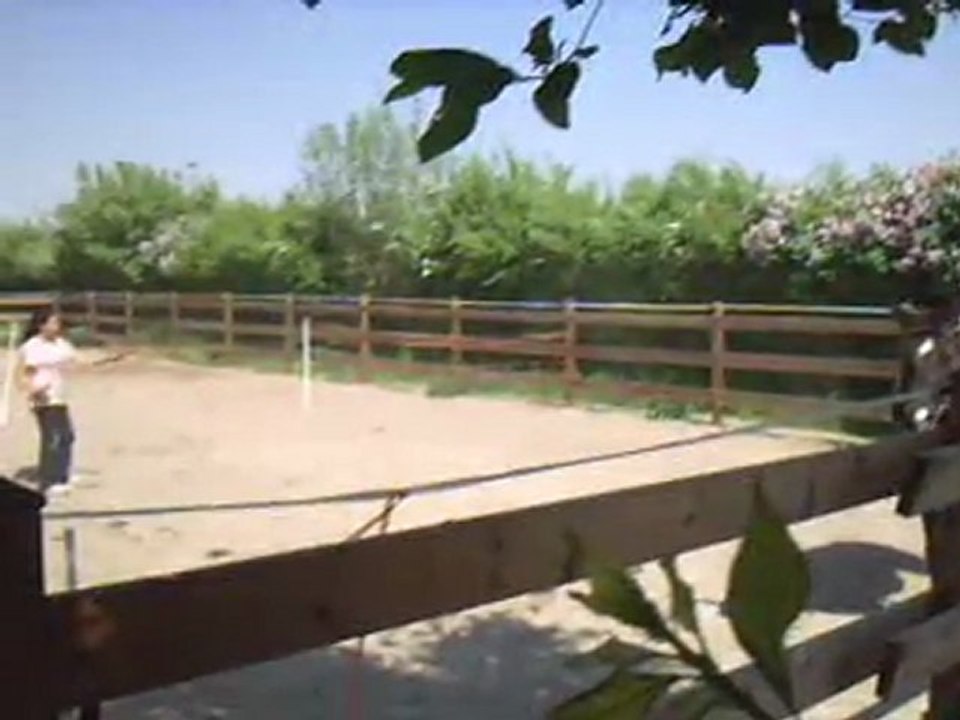kiki6 2ieme partie