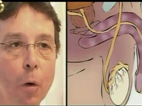 Los avances cientificos permiten afrimar que toda infertilid