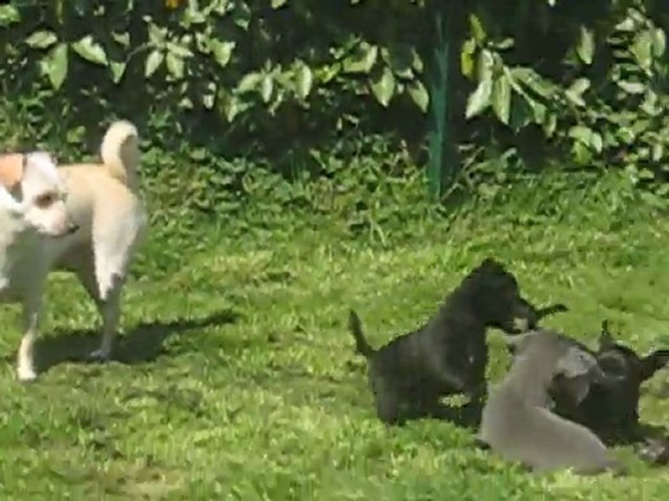 les bébé dehors 4