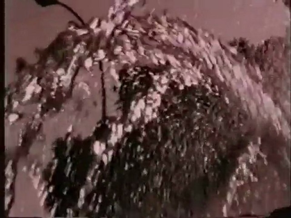 David Sylvian - Orpheus