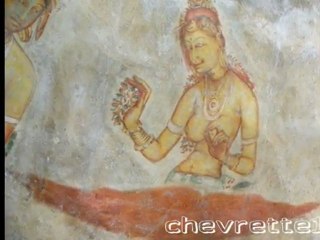 SIGIRIYA demoiselles