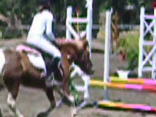 Mon premier concour!