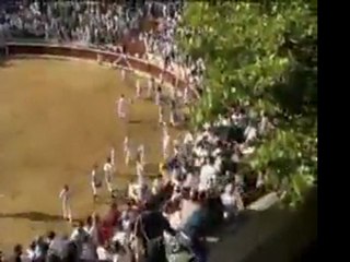 Un toro logró llegar a las gradas de una plaza en España