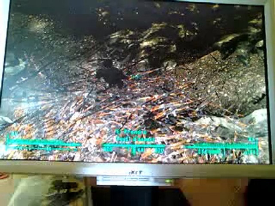 Fallout 3  chute