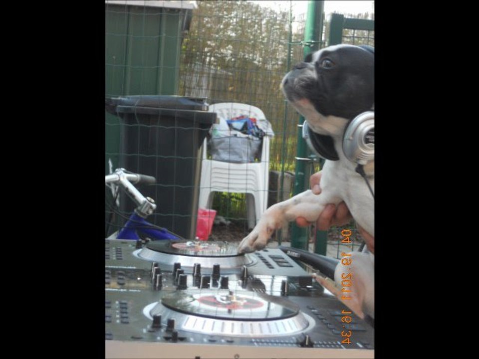 dj noisefight- hardcore jusqu'a la mort remix hardcore