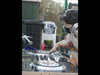 dj noisefight- hardcore jusqu'a la mort remix hardcore