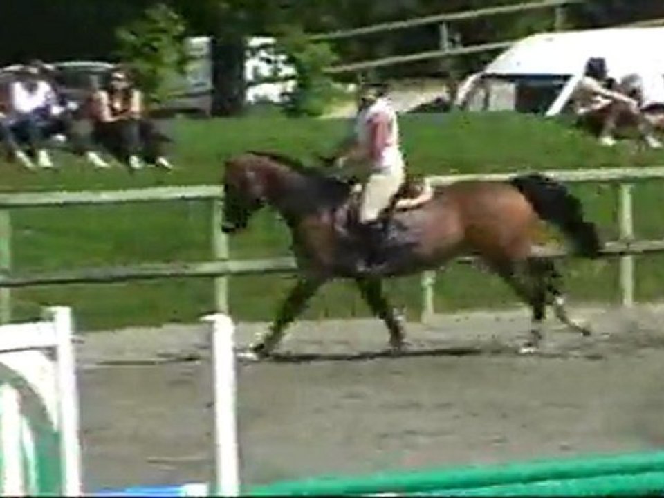shenguen 2011