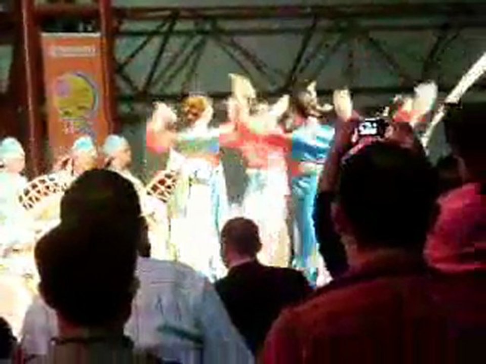 23 Nisan 2010 Güney Kore Gösterisi