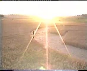 Crop circles 04