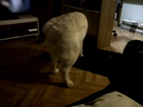 VID 00001-20110122-1528