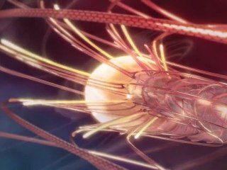 Nature by Numbers - By Cristóbal Vila - HD