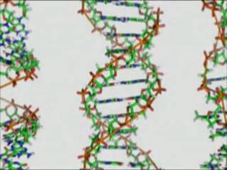 IN THE TENTS OF SHEM PART ONE