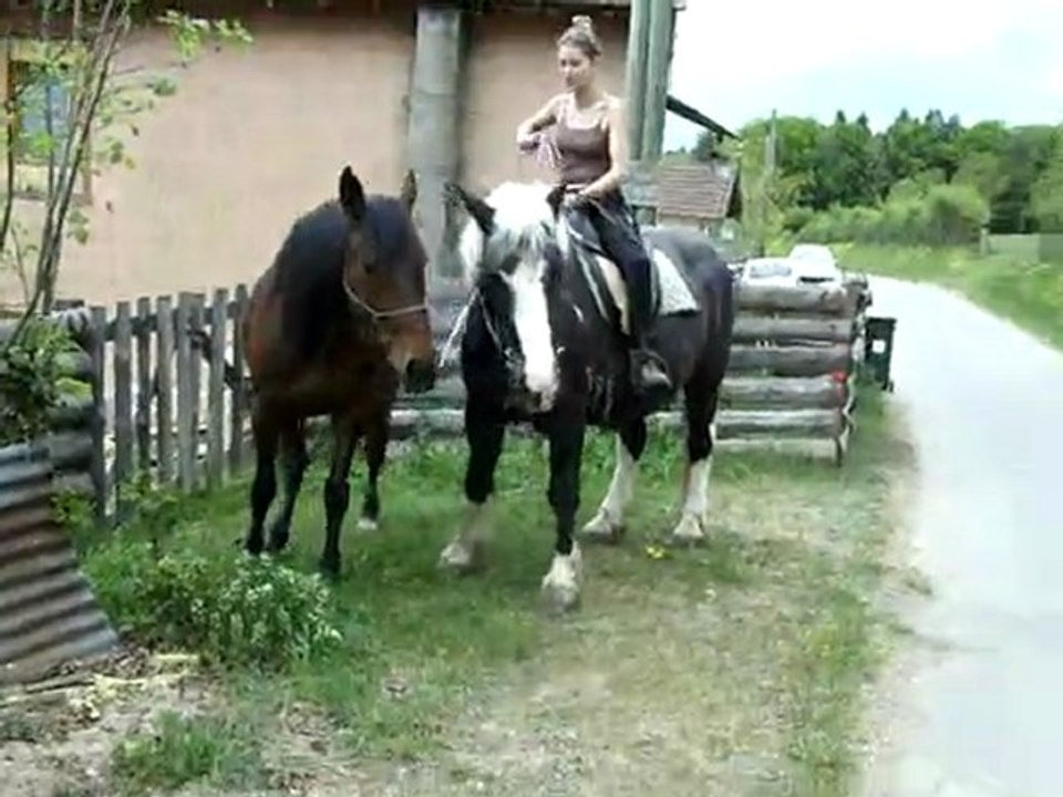 IMGP3546