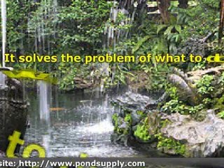 Ready for a pond, a brief introduction to watergardening