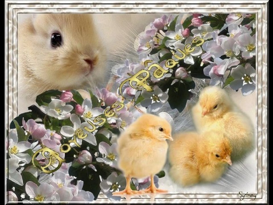 Joyeuses Pâques 2011