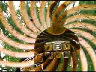 D NEW CLAN STYL LOVE NAO