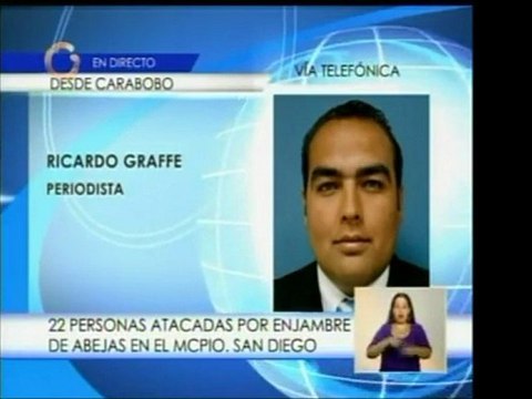 Veintidós personas fueron atacadas por un enjambre de abejas