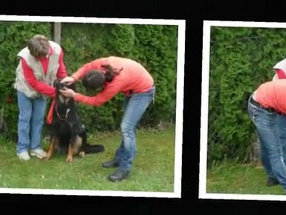 La NZB de Boann en images 16 avril 2011