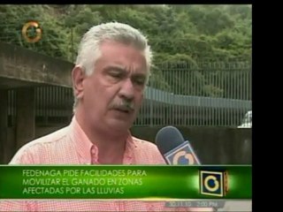 Fedenaga pide al gobierno facilidades para transportar el ga