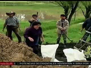 Pérdidas millonarias por lluvias en Colombia