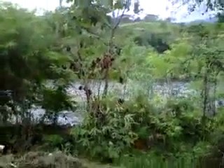 Río Cocorote a punto de desbordar! Cororote Edo. Yaracuy