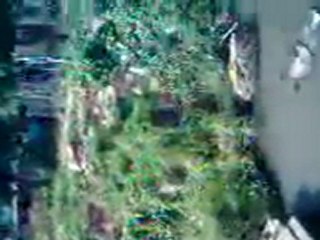 PUENTE CAIDO DESDE HACE SEIS MESES EN EL SECTOR 5 DE JULIO D