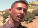 Arabic-web-Illegal logging threatens Moroccan forest