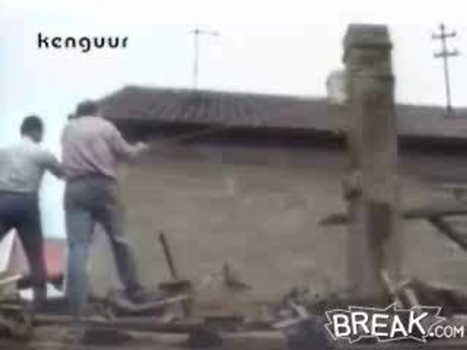 pro