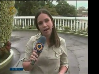 El representante del Estado venezolano en caso de la CIDH so