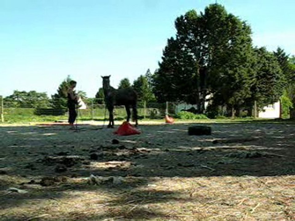jeux en 7m 04.11