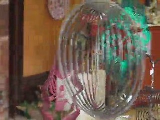 Fête de la fraise à Beaulieu-sur-Dordogne