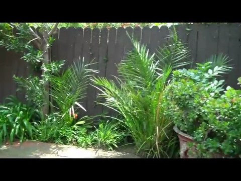 2770 LA Castana DR. Sunset Strip - Hollywood @ $1,545,000