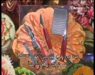 The Revolutionary Pro-V Juicer!