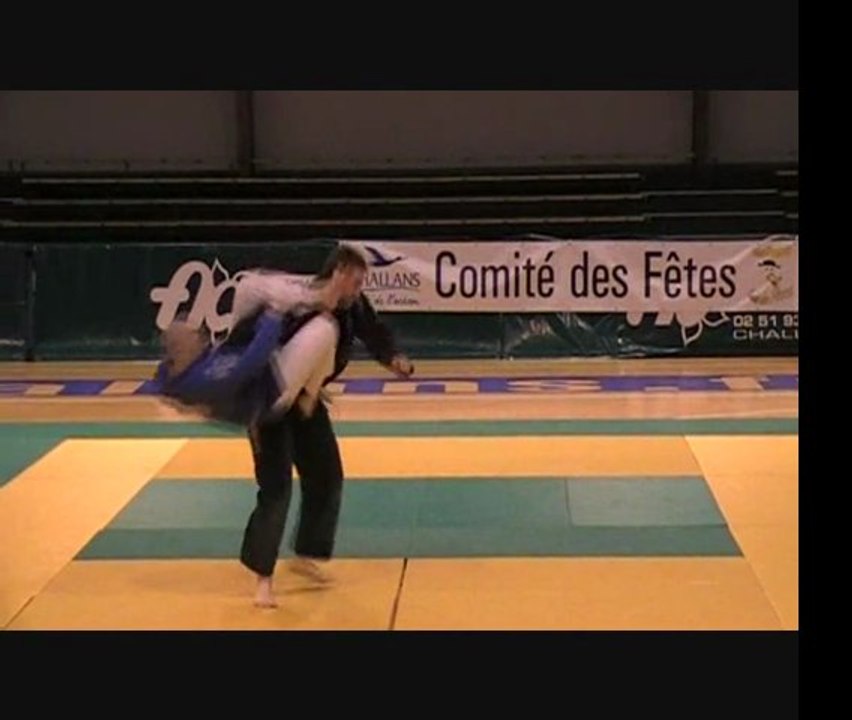 Festival d'art Martiaux de Challans  2011(demo jjb)