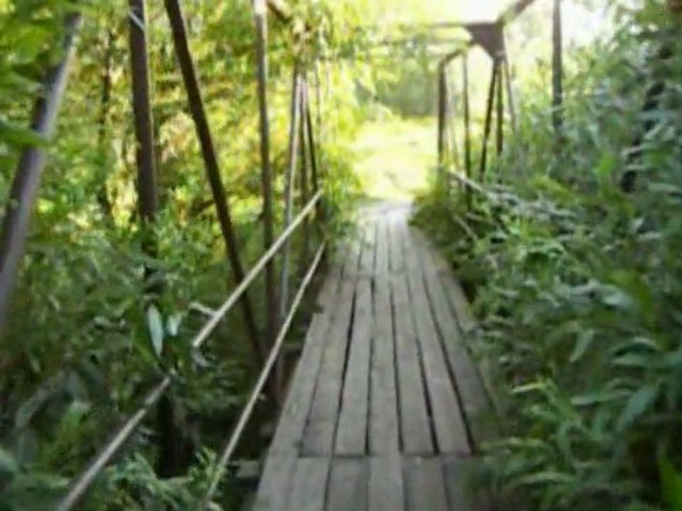 65)Про деревню. Часть 2 (10.09.2005)