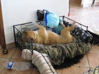 mais quelle mouche l'a piqué ???!!!!!!!!