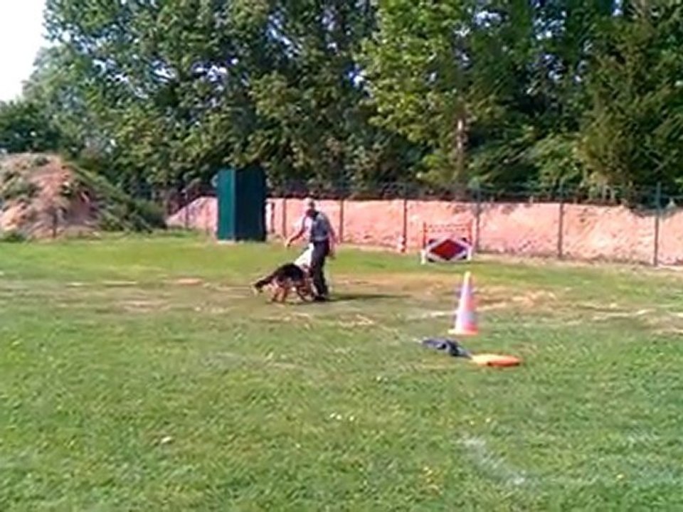 Flutter attaque de face / ring 230411