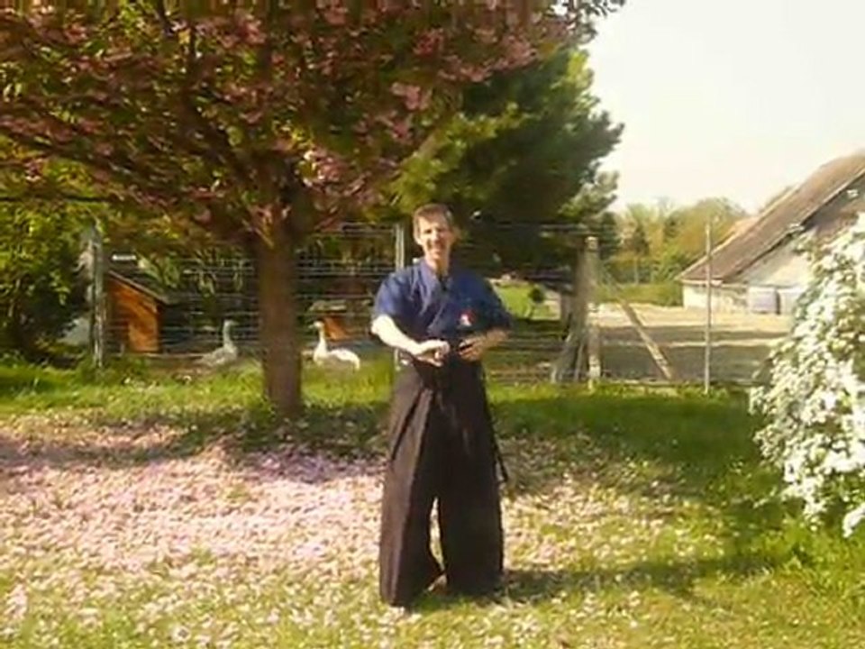 4ème kata iaido yoseikan budo