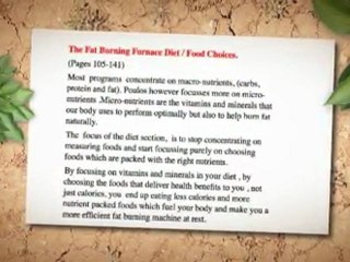 buy fat burning furnace