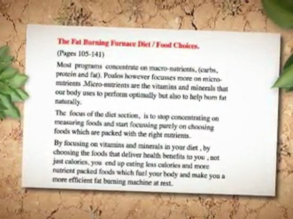 buy fat burning furnace