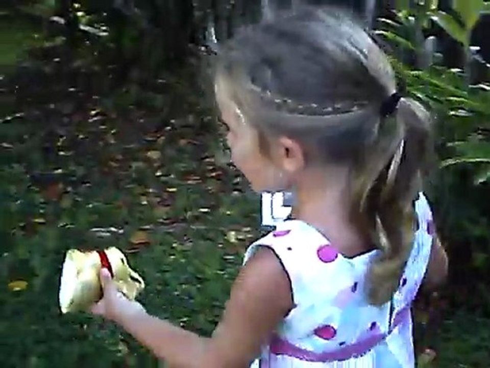 Chasse3
