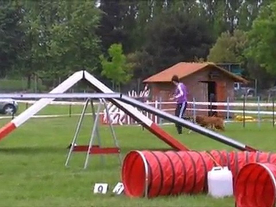 Bullit SGPF