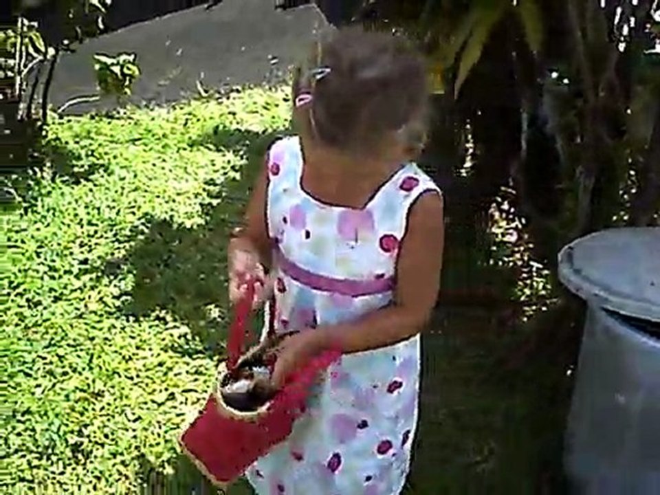 Chasse1