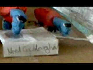 Uncle Tony the Tortoise - One Man